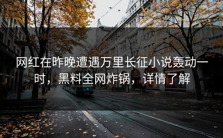 网红在昨晚遭遇万里长征小说轰动一时，黑料全网炸锅，详情了解