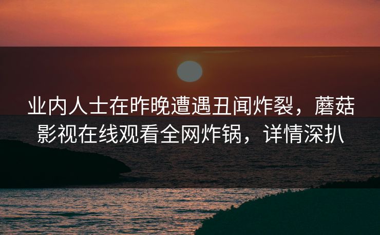 业内人士在昨晚遭遇丑闻炸裂,蘑菇影视在线观看全网炸锅,详情深扒