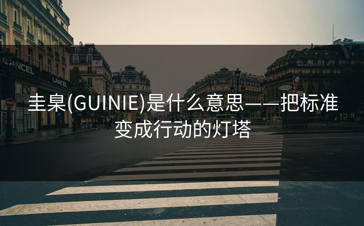 圭臬(GUINIE)是什么意思——把标准变成行动的灯塔