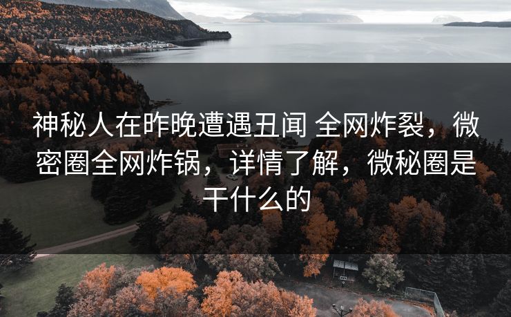 神秘人在昨晚遭遇丑闻 全网炸裂，微密圈全网炸锅，详情了解，微秘圈是干什么的