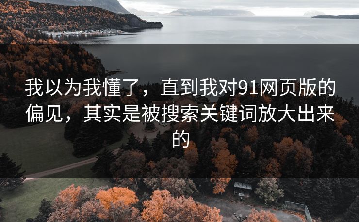 我以为我懂了，直到我对91网页版的偏见，其实是被搜索关键词放大出来的